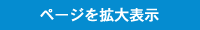 ページを拡大表示